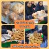 پذیرایی از دانش آموزان