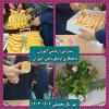پذیرایی از دانش آموزان